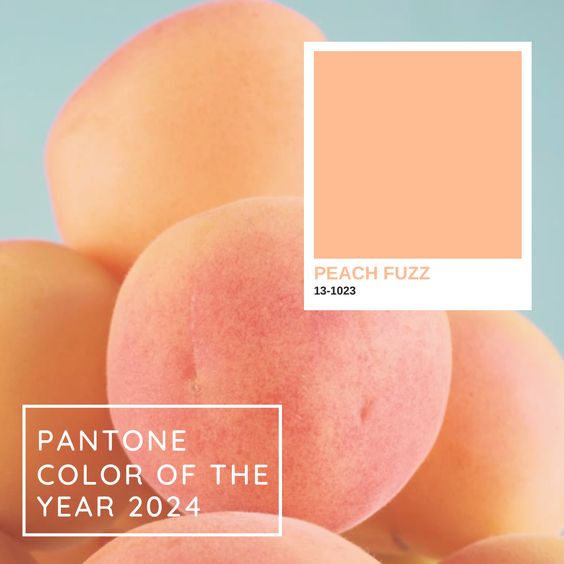 這次Pantone發表的2024年度代表色 ：「柔和蜜桃」（Peach Fuzz）